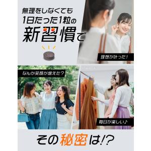 キュトヘル ダイエット サポート サプリ お腹...の詳細画像2