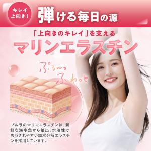 イソフラボン サプリ プルラ 10種の無添加成...の詳細画像5