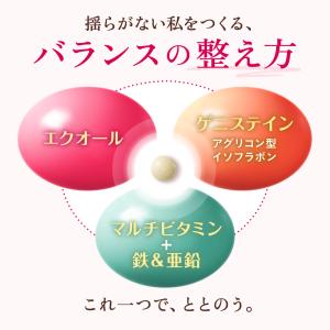 ルミエル エクオール 5mg サプリメント 3...の詳細画像3