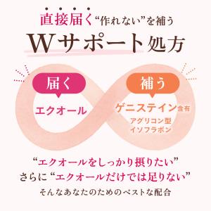 ルミエル エクオール 5mg サプリメント 3...の詳細画像4