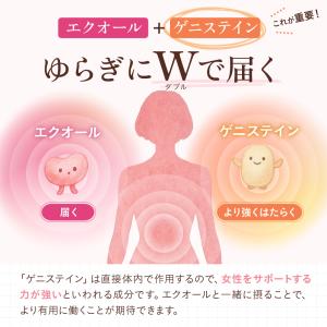 ルミエル エクオール 5mg サプリメント 3...の詳細画像5