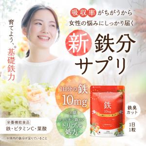 鉄分 サプリ ルミエル 鉄 10mg フェリチ...の詳細画像2