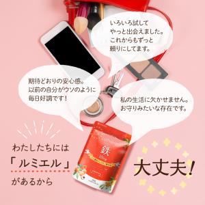 鉄分 サプリ ルミエル 鉄 10mg フェリチ...の詳細画像4