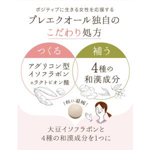 イソフラボン サプリ ルミエル プレエクオール...の詳細画像4