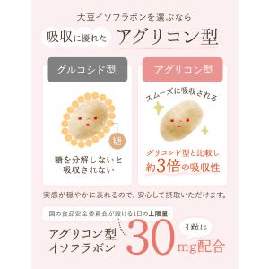 イソフラボン サプリ ルミエル プレエクオール...の詳細画像5