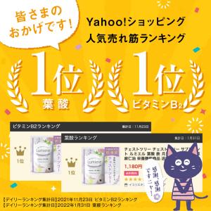 チェストツリー チェストベリー 葉酸 サプリメ...の詳細画像1