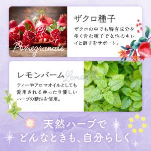 チェストツリー チェストベリー サプリメント ...の詳細画像5