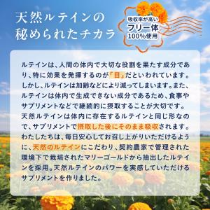 ルテイン サプリ 明快ルテイン フリー体ルテイ...の詳細画像2