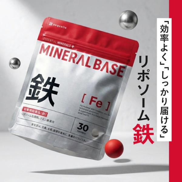 鉄 サプリ リポソーム 10mg 【ミネラルベース】 吸収力 胃に優しい ビタミンC 銅 葉酸 B1...
