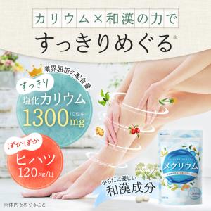 カリウム サプリ ヒハツ サプリ 塩化カリウム...の詳細画像2