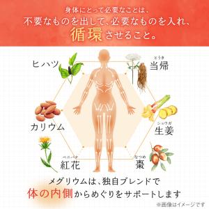 カリウム サプリ ヒハツ サプリ 塩化カリウム...の詳細画像4
