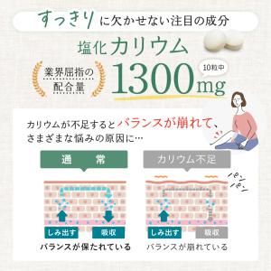 カリウム サプリ ヒハツ サプリ 塩化カリウム...の詳細画像5