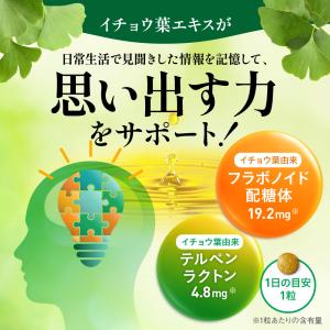 イチョウ葉 サプリメント 認知ヘルプ 認知機能...の詳細画像4