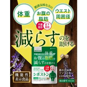ダイエット サポート サプリ シボストン 体重...の詳細画像2