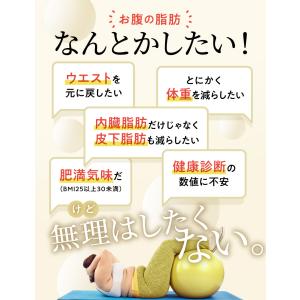 ダイエット サポート サプリ シボストン 体重...の詳細画像3