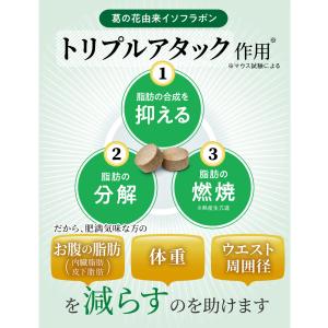 ダイエット サポート サプリ シボストン 体重...の詳細画像4