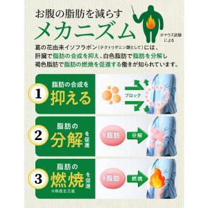 ダイエット サポート サプリ シボストン 体重...の詳細画像5