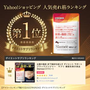 ダイエット サプリ お腹の脂肪 皮下脂肪を減ら...の詳細画像1