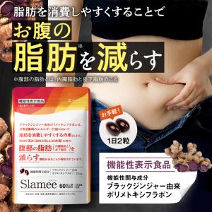 ダイエット サプリ お腹の脂肪 皮下脂肪を減ら...の詳細画像3