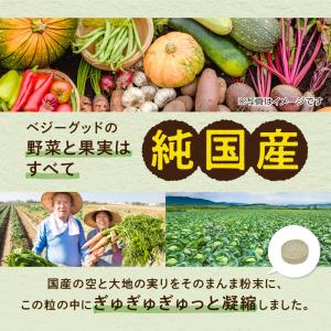 野菜サプリ ベジーグッド 国産野菜サプリ 24...の詳細画像4