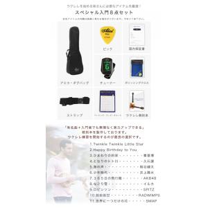 タイムセール!【初心者セット8点!】ELVIS...の詳細画像2