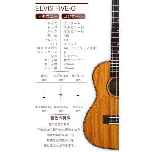 タイムセール!【初心者セット8点!】ELVIS...の詳細画像3