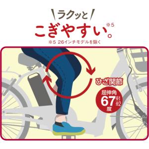 パンクしない ブリヂストン 電動アシスト三輪自...の詳細画像5