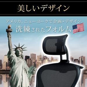 NYD アーロンチェア用ヘッドレスト 海外で大...の詳細画像1