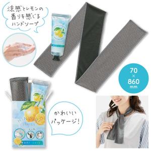 ネッククーラー ハンドソープ セット 保冷剤 ク...の商品画像