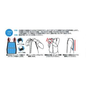 アイスリュック 保冷剤 リュック 背中用 冷却...の詳細画像4