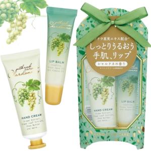 MEIDIAN RSハンドクリーム5個パック ブルーベリー・オレンジ・ピーチ