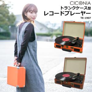 Stranger Things 】 米国限定 ストレンジャー・シングス WSQK レコード