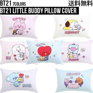 ヘンプアースピローカバー （サイズ：67×52cm）【正規販売代理店