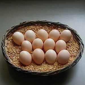 烏骨鶏卵;10個入￥3,240 野外放し飼い烏...の詳細画像1