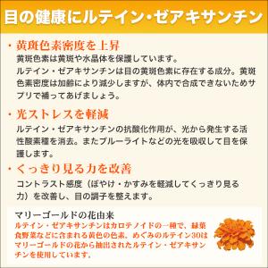 めぐみのルテイン30 30日分 6個セット ル...の詳細画像3