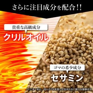 オメガ3+ クリルオイル 90日分 3個セット...の詳細画像2