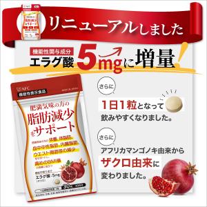 エラグ酸 サプリ 30日分 肥満気味の方の 脂...の詳細画像1