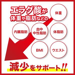 エラグ酸 サプリ 30日分 肥満気味の方の 脂...の詳細画像2