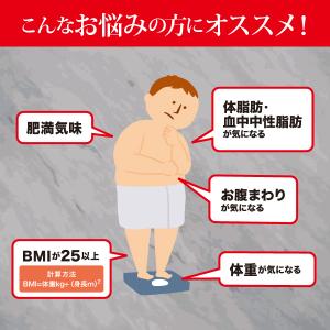 肥満気味の方の脂肪減少をサポートする エラグ酸...の詳細画像2