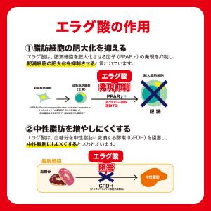 肥満気味の方の脂肪減少をサポートする エラグ酸...の詳細画像3