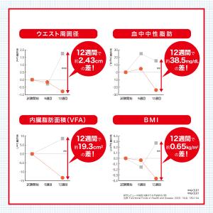 肥満気味の方の脂肪減少をサポートする エラグ酸...の詳細画像5