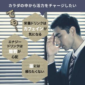 SHIN.メガビタミン&エナジー サプリメント...の詳細画像3