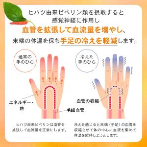 【機能性表示食品】 かるポカ めぐりのヒハツ ...の詳細画像3