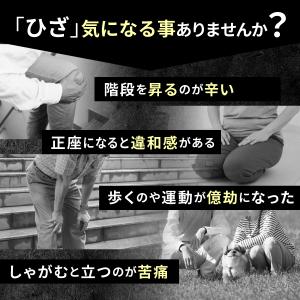 あゆみの宝 プロテオグリカン サプリ 30日分...の詳細画像2
