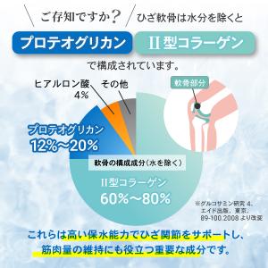 あゆみの宝 プロテオグリカン サプリ 30日分...の詳細画像4