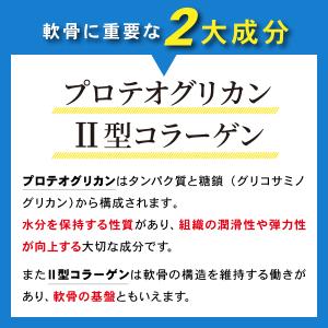 あゆみの宝 プロテオグリカン サプリ 30日分...の詳細画像5