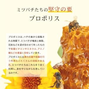 プロポリス 原液 30mL 3個セット 栄養豊...の詳細画像3