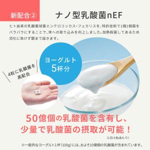 葉酸サプリ mitete 30日分 3個セット...の詳細画像3