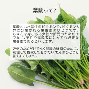 葉酸サプリ mitete 30日分 3個セット...の詳細画像4