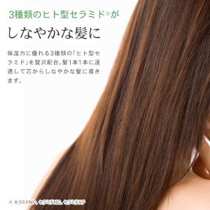 爽快柑 トリートメント ノンシリコン アミノ酸...の詳細画像4